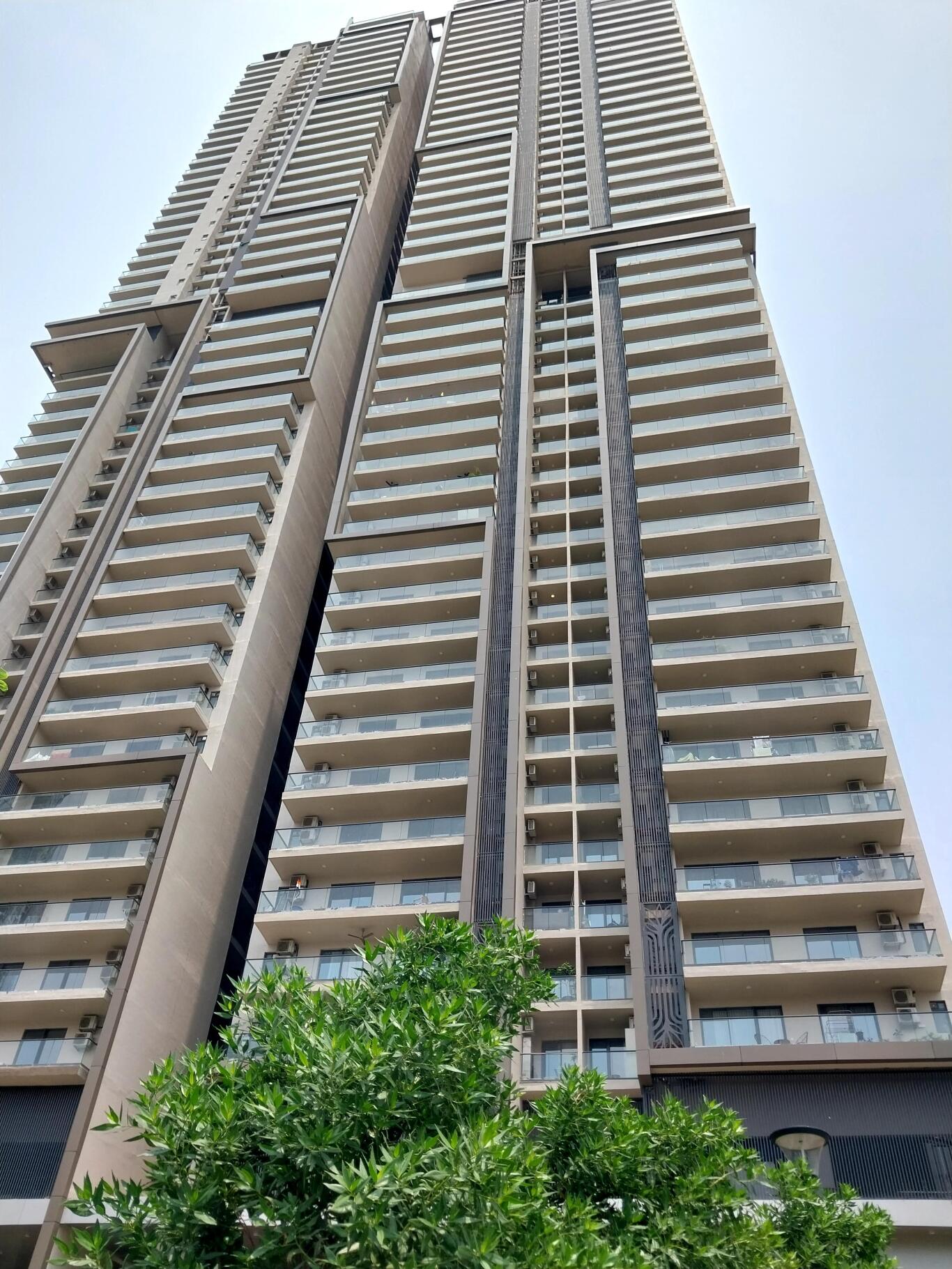 DLF EXCLUSIVE FLOORS